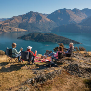 Wanakas Best Picnic Spot Wanakas Best Picnic Spot